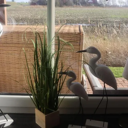 Deichblick *
