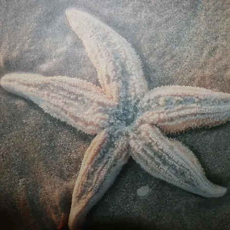 Deichblick Apartamento