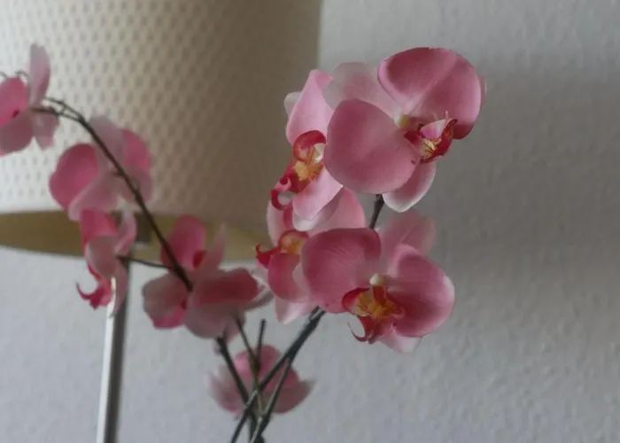 Deichblick 公寓 多纳莫塞尔